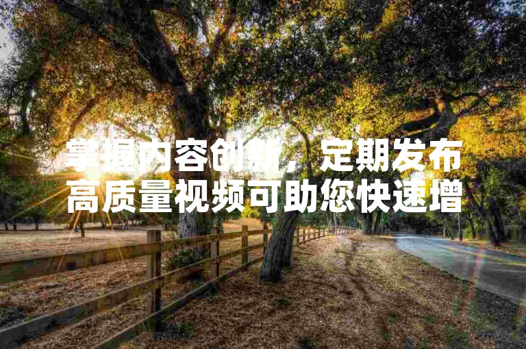 掌握内容创新，定期发布高质量视频可助您快速增粉。