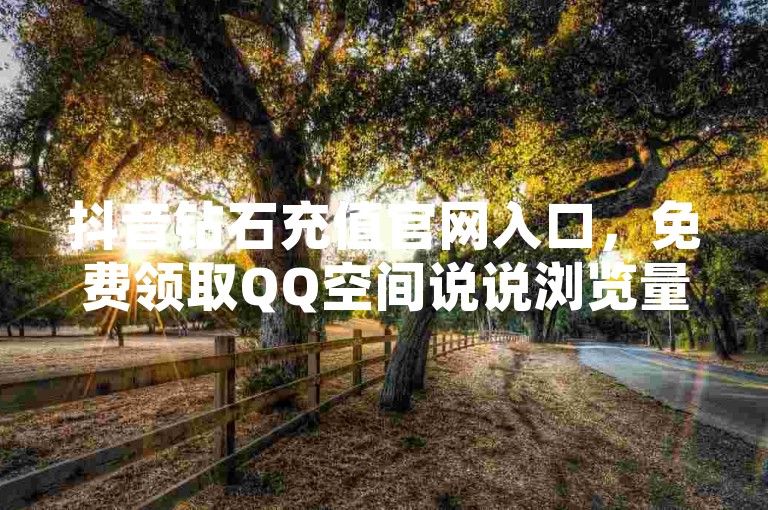 抖音钻石充值官网入口，免费领取QQ空间说说浏览量