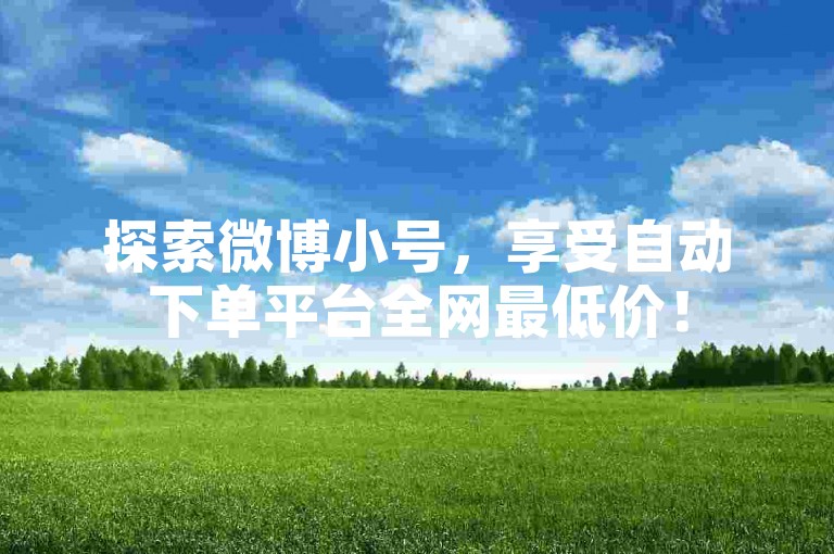 探索微博小号，享受自动下单平台全网最低价！