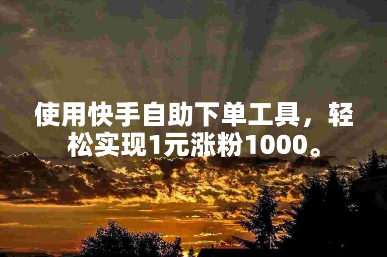 使用快手自助下单工具，轻松实现1元涨粉1000。