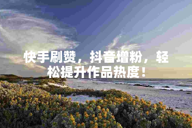 快手刷赞，抖音增粉，轻松提升作品热度！