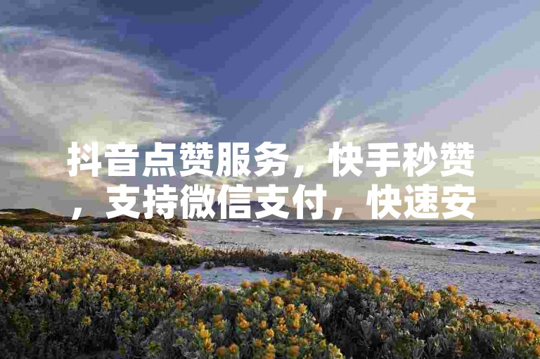 抖音点赞服务，快手秒赞，支持微信支付，快速安全。