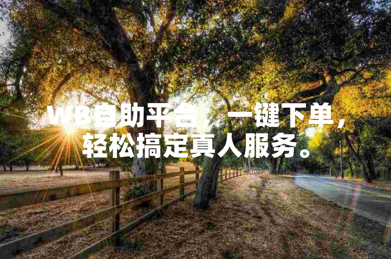 WB自助平台，一键下单，轻松搞定真人服务。