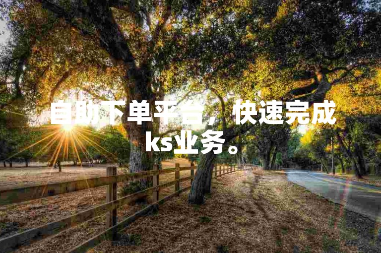 自助下单平台，快速完成ks业务。