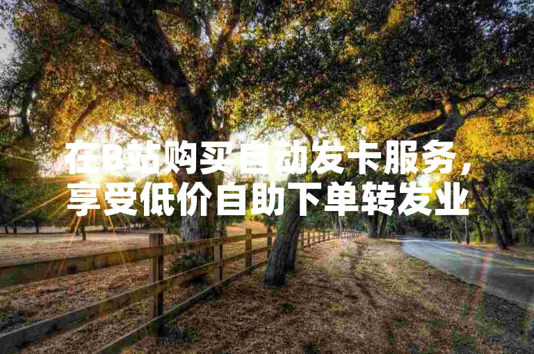 在B站购买自动发卡服务，享受低价自助下单转发业务。
