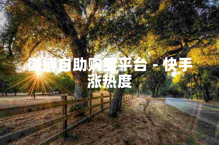 微博自助购买平台 - 快手涨热度