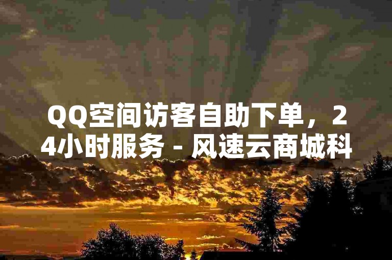 QQ空间访客自助下单，24小时服务 - 风速云商城科技平台。