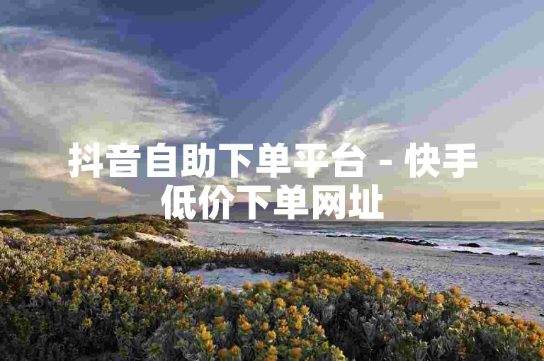 抖音自助下单平台 - 快手低价下单网址