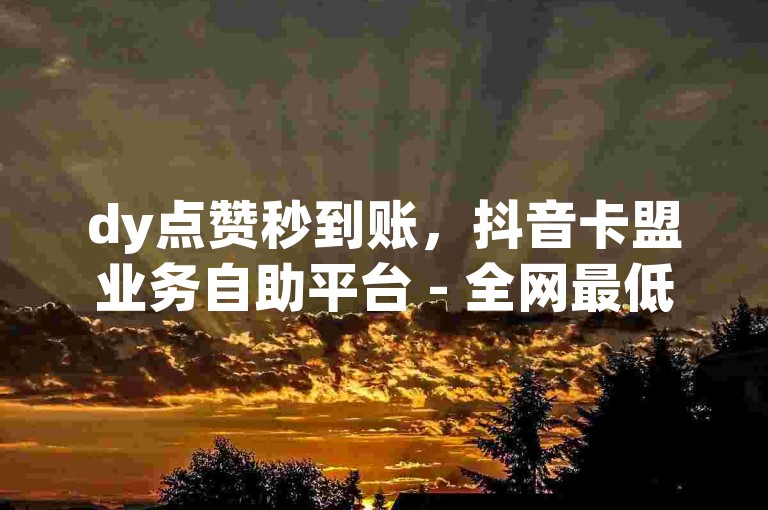 dy点赞秒到账，抖音卡盟业务自助平台 - 全网最低价 - 24小时服务。