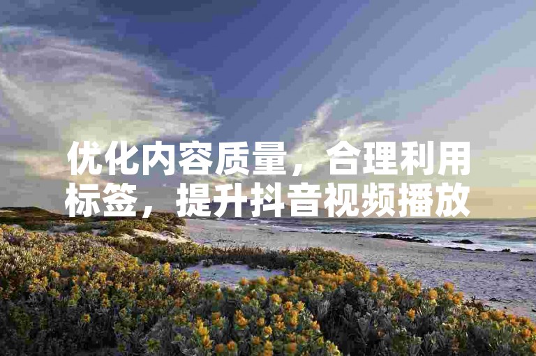 优化内容质量，合理利用标签，提升抖音视频播放量。