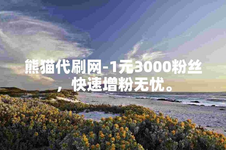 熊猫代刷网-1元3000粉丝，快速增粉无忧。