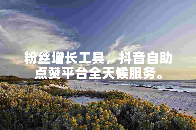 粉丝增长工具，抖音自助点赞平台全天候服务。