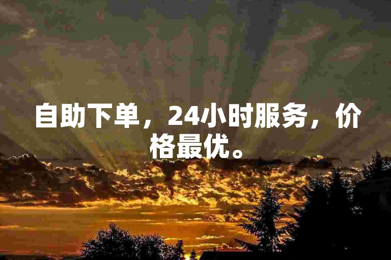 自助下单，24小时服务，价格最优。