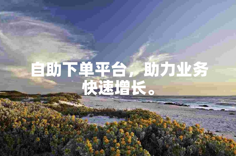 自助下单平台，助力业务快速增长。