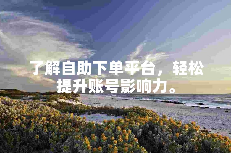 了解自助下单平台，轻松提升账号影响力。