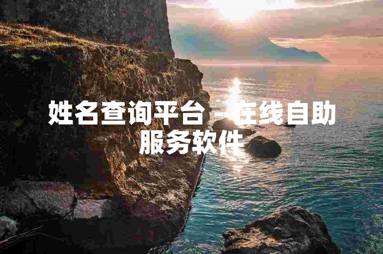 姓名查询平台 - 在线自助服务软件