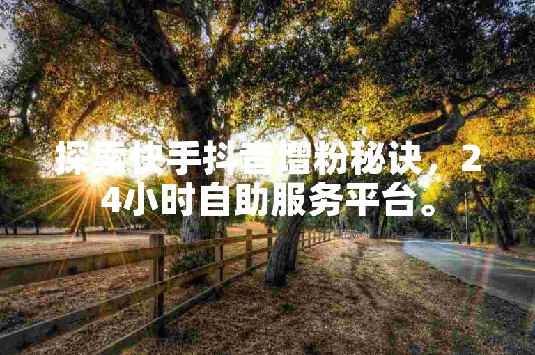 探索快手抖音增粉秘诀，24小时自助服务平台。