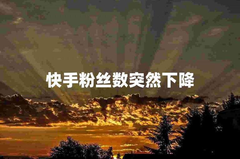 快手粉丝数突然下降500！