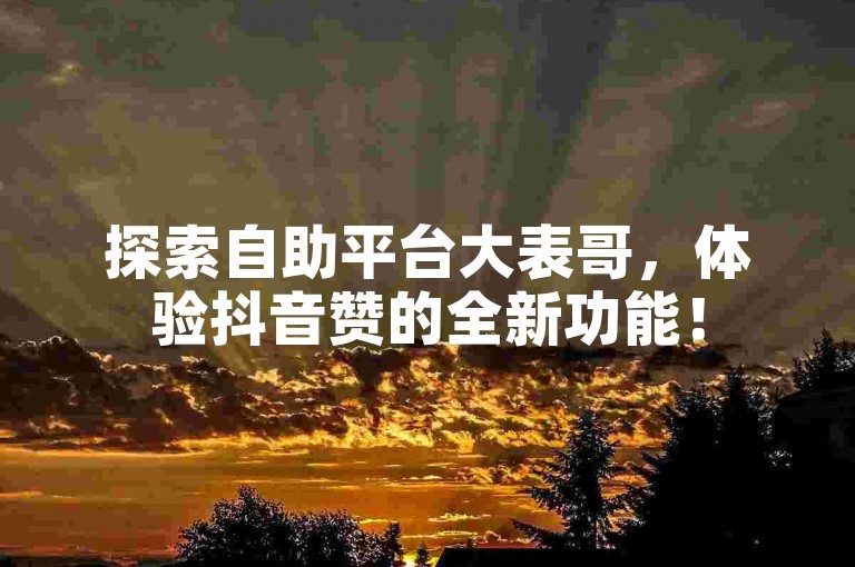 探索自助平台大表哥，体验抖音赞的全新功能！