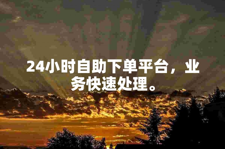 24小时自助下单平台，业务快速处理。