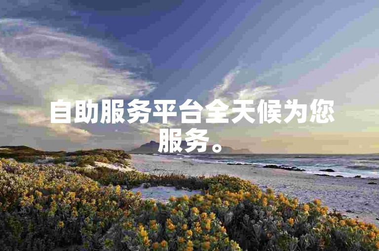 自助服务平台全天候为您服务。