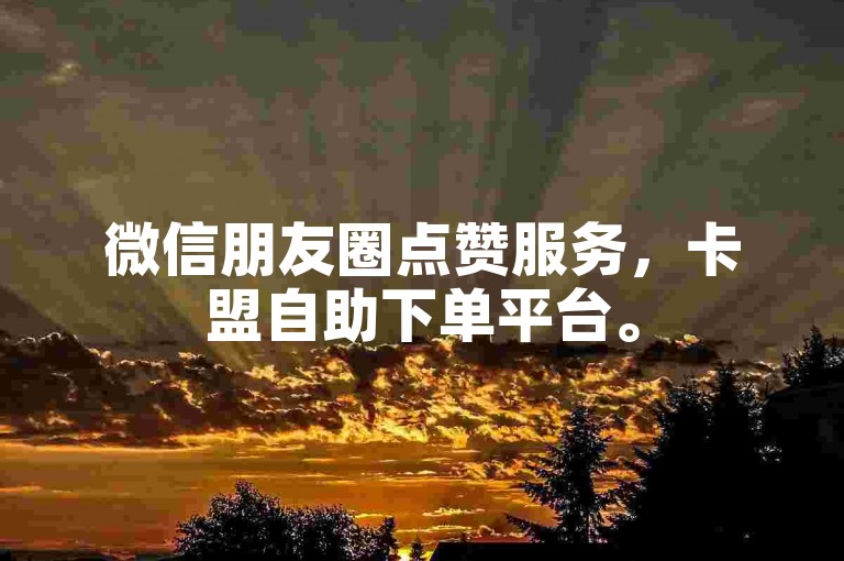微信朋友圈点赞服务，卡盟自助下单平台。