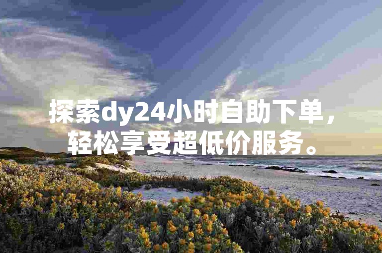 探索dy24小时自助下单，轻松享受超低价服务。