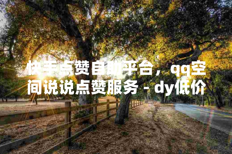 快手点赞自助平台，qq空间说说点赞服务 - dy低价下单网站