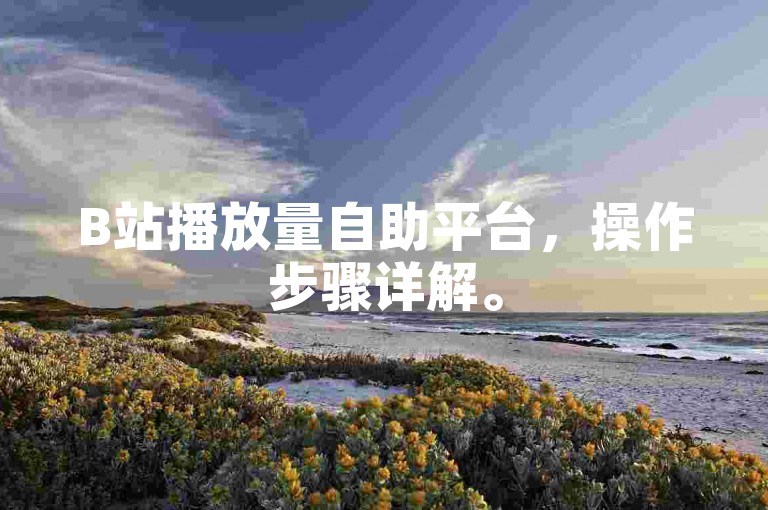 B站播放量自助平台，操作步骤详解。