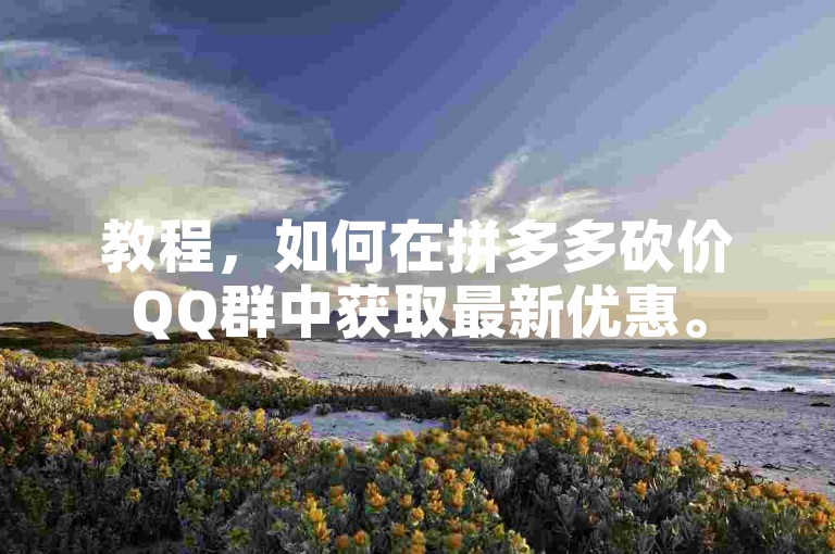 教程，如何在拼多多砍价QQ群中获取最新优惠。
