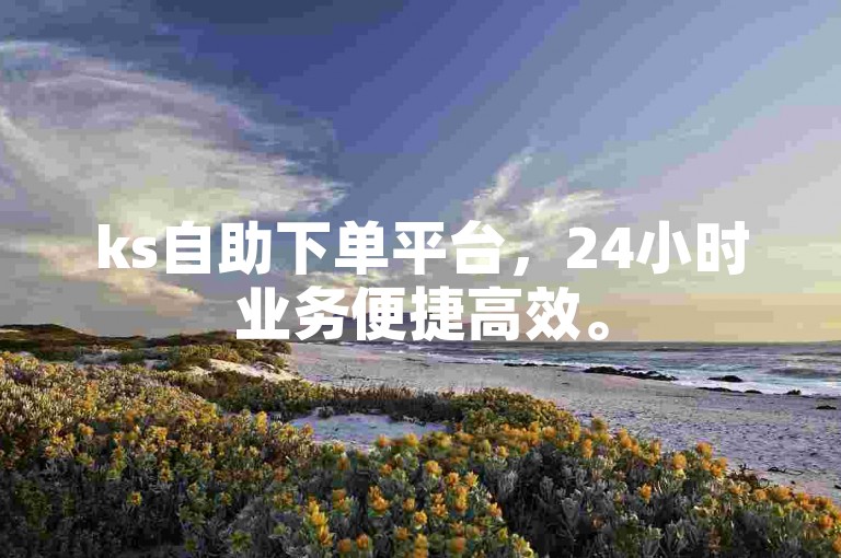 ks自助下单平台，24小时业务便捷高效。