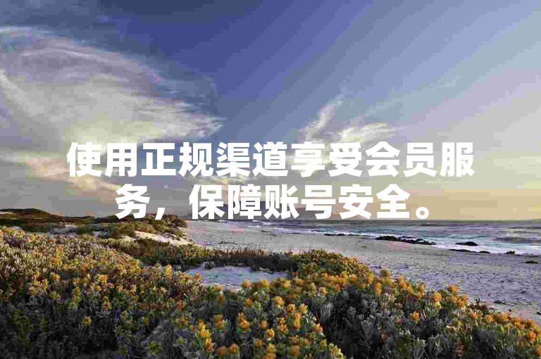 使用正规渠道享受会员服务，保障账号安全。