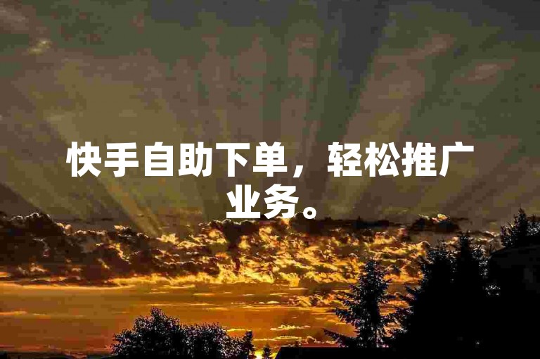 快手自助下单，轻松推广业务。