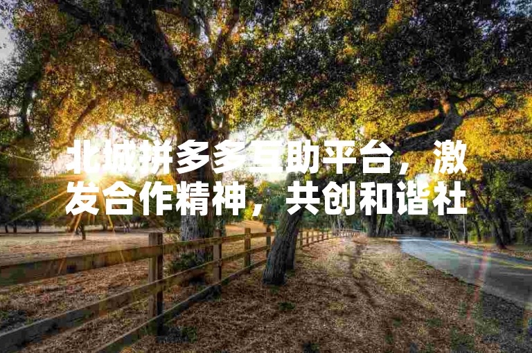 北城拼多多互助平台，激发合作精神，共创和谐社区。