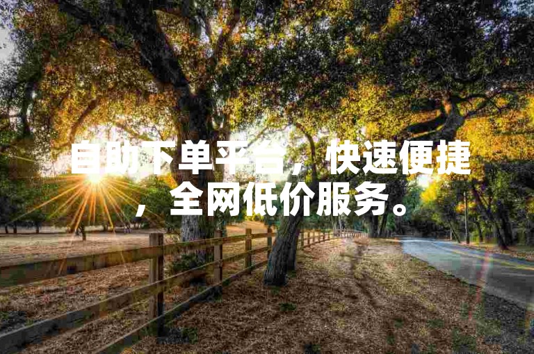 自助下单平台，快速便捷，全网低价服务。