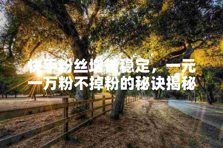 快手粉丝增长稳定，一元一万粉不掉粉的秘诀揭秘。