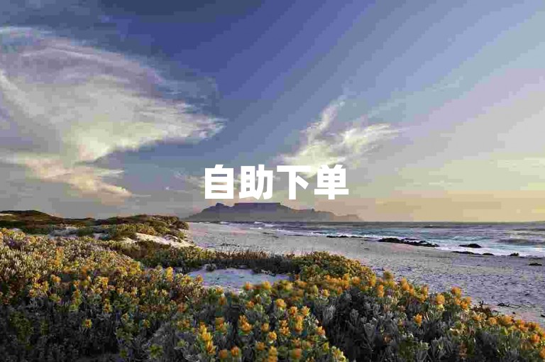 自助下单50赞 - 超低价抖音赞自助下单平台真人
