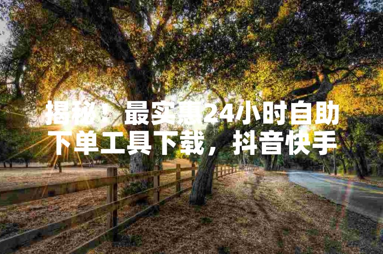 揭秘！最实惠24小时自助下单工具下载，抖音快手业务自助下单软件安装教程。