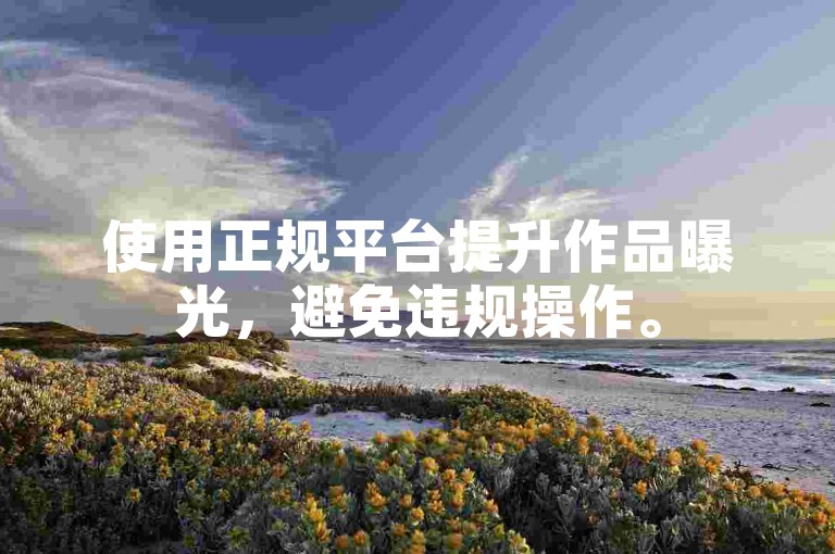 使用正规平台提升作品曝光，避免违规操作。