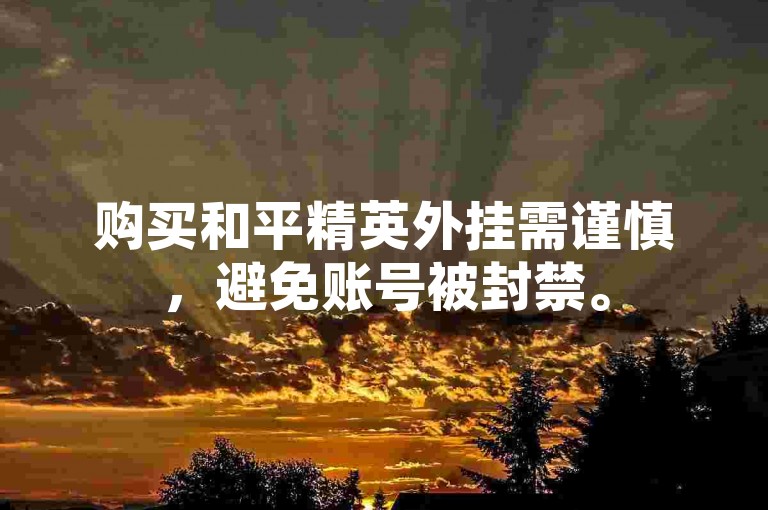 购买和平精英外挂需谨慎，避免账号被封禁。