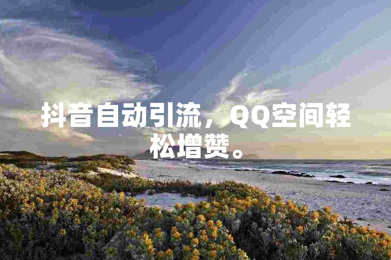 抖音自动引流，QQ空间轻松增赞。