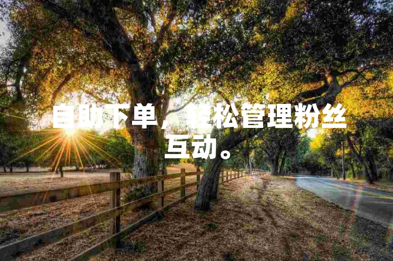 自助下单，轻松管理粉丝互动。
