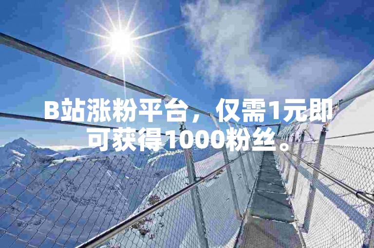 B站涨粉平台，仅需1元即可获得1000粉丝。