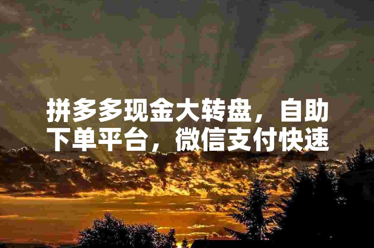拼多多现金大转盘，自助下单平台，微信支付快速便捷。
