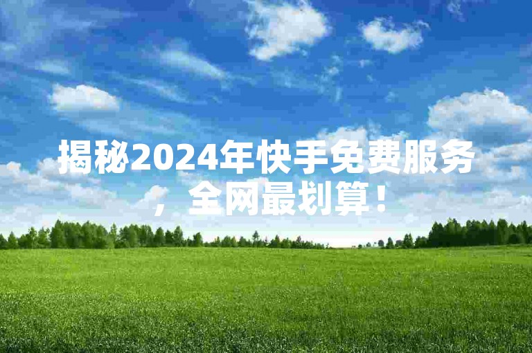 揭秘2024年快手免费服务，全网最划算！