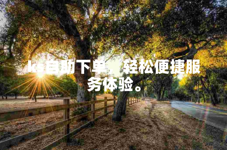 ks自助下单，轻松便捷服务体验。