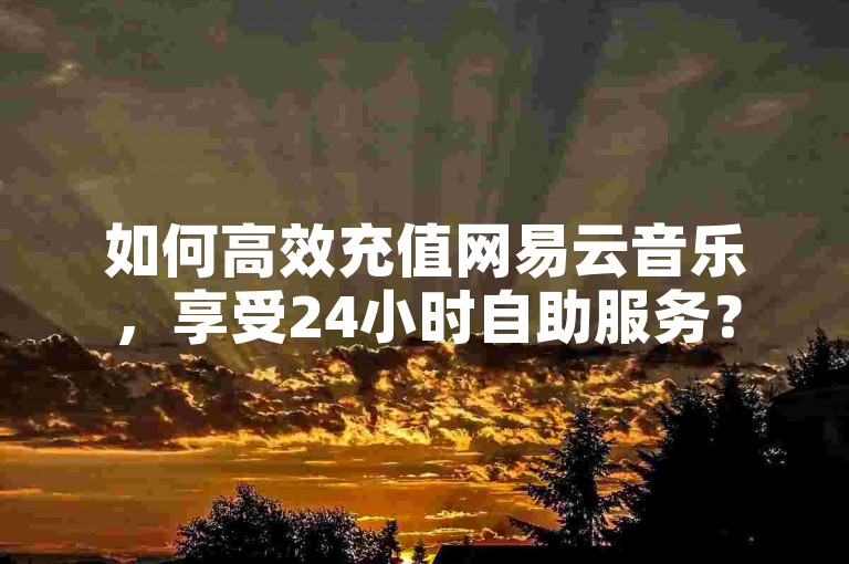如何高效充值网易云音乐，享受24小时自助服务？