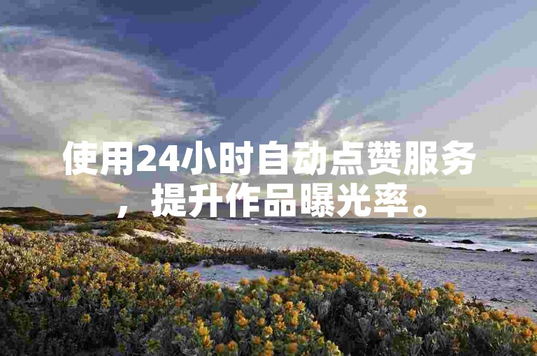 使用24小时自动点赞服务，提升作品曝光率。
