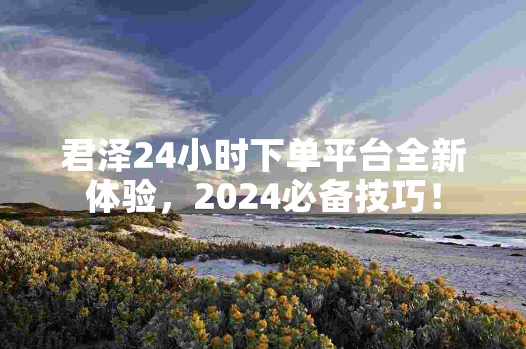 君泽24小时下单平台全新体验，2024必备技巧！