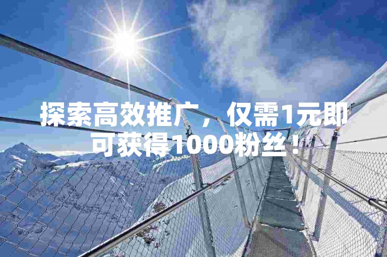探索高效推广，仅需1元即可获得1000粉丝！